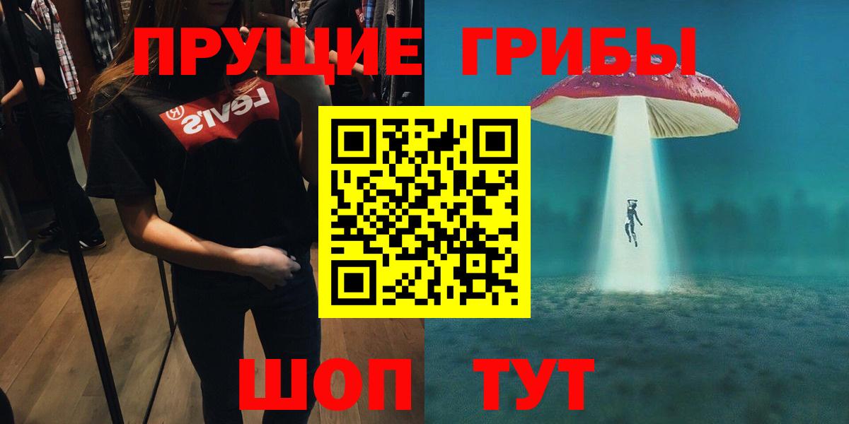 Псилоцибиновые грибы прущие грибы  цены наркотик  Псилоцибиновые грибы прущие грибы  Богородск  Вход с VPN 