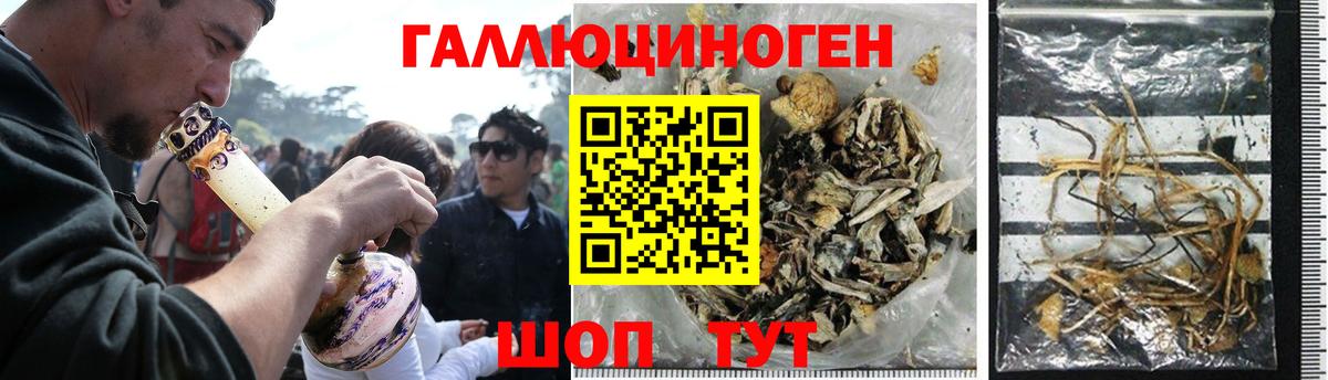 Галлюциногенные грибы Magic Shrooms Богородск